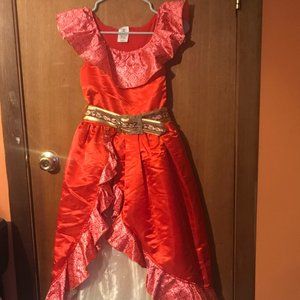 Disney Elena Of Avalor costume dress